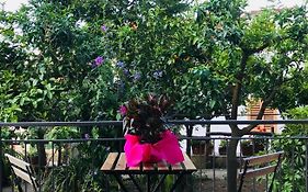 B&B Miccio